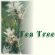 tea tree oil use,toenail fungus tea tree oil, natural skin care products