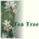 vitamin c,Discount Vitamins,ginseng vitamins, anti-aging, anti aging, breast cancer, womens health, antiaging